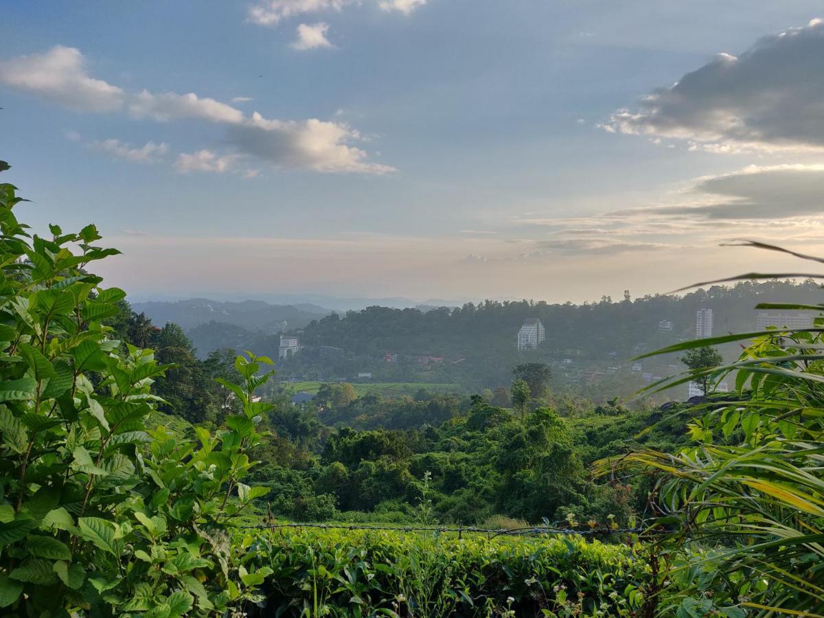 Chandys Windy Woods Munnar Esterno foto