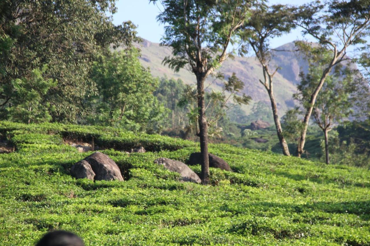 Chandys Windy Woods Munnar Esterno foto